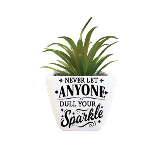 Mini Succulent - Never Let Anymore Dull Your Sparkle
