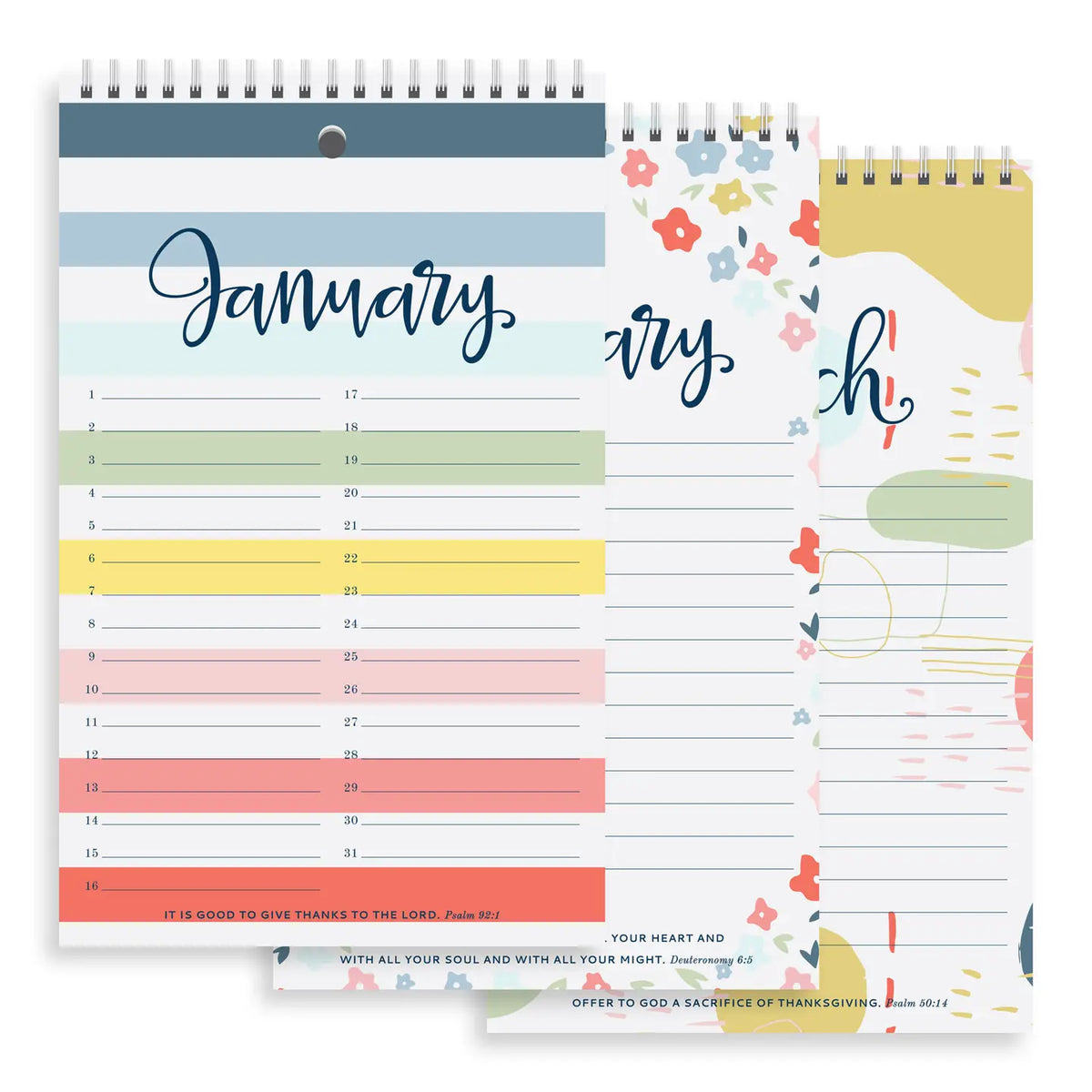 365 Days of Gratitude - A Yearly Record