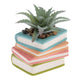 Shaped Succulent Pot
