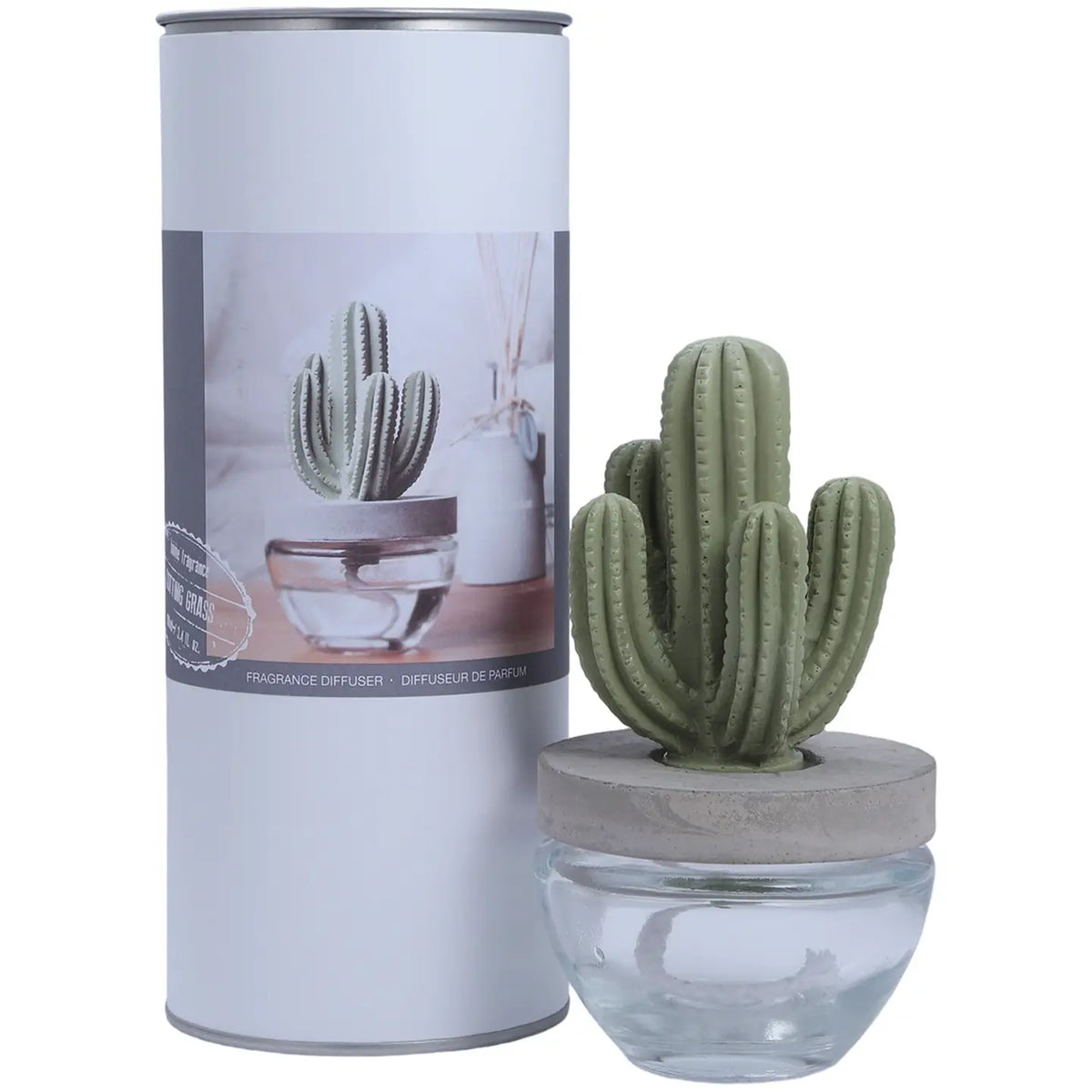 Cactus Ceramic Diffuser Gift Set