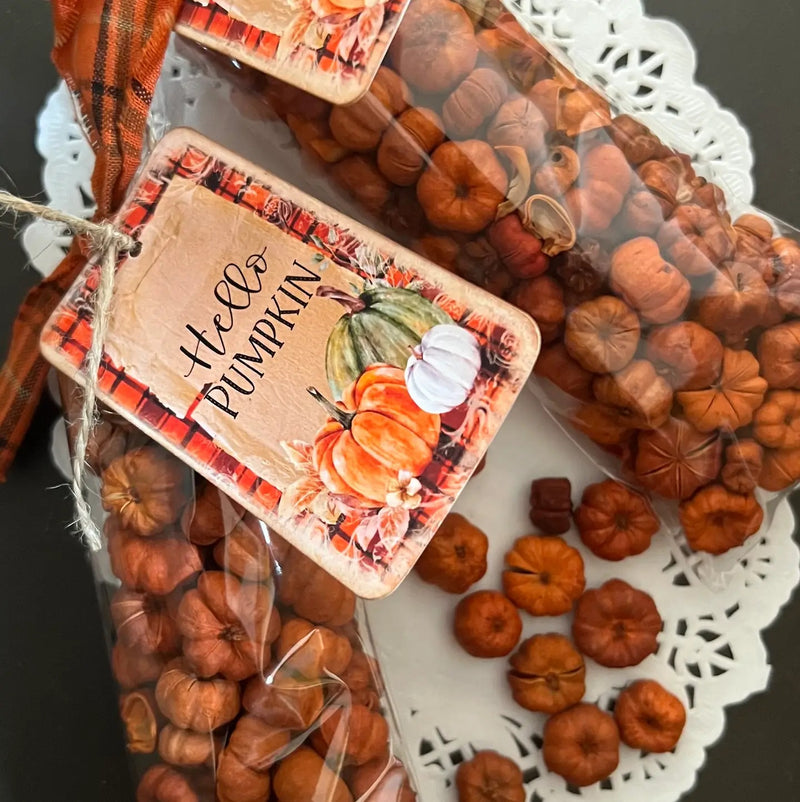 Fall Dried Pumpkins