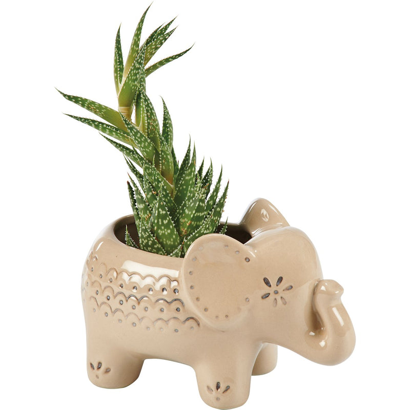 Elephant Planter