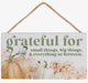Fall Petite Hanging Sign