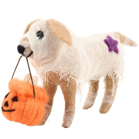 Trick or Treat Dog