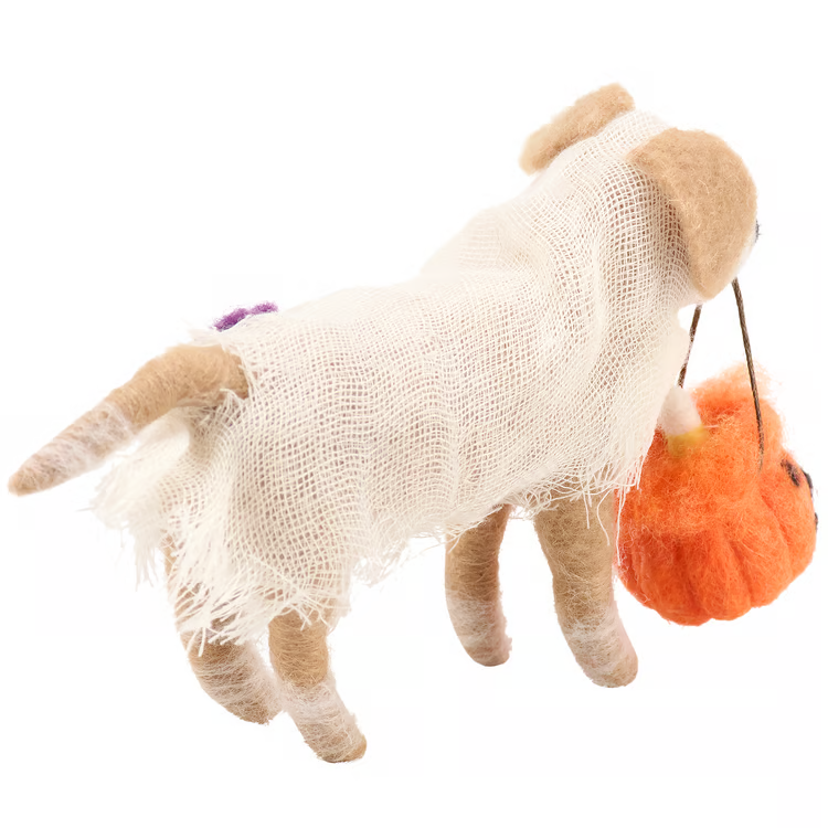 Trick or Treat Dog