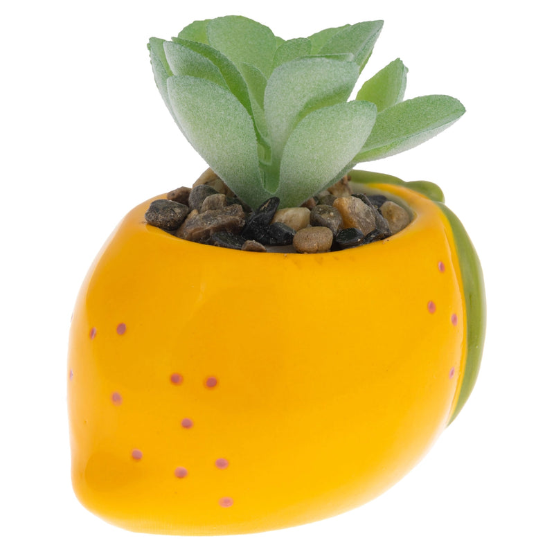 Shaped Succulent Pot