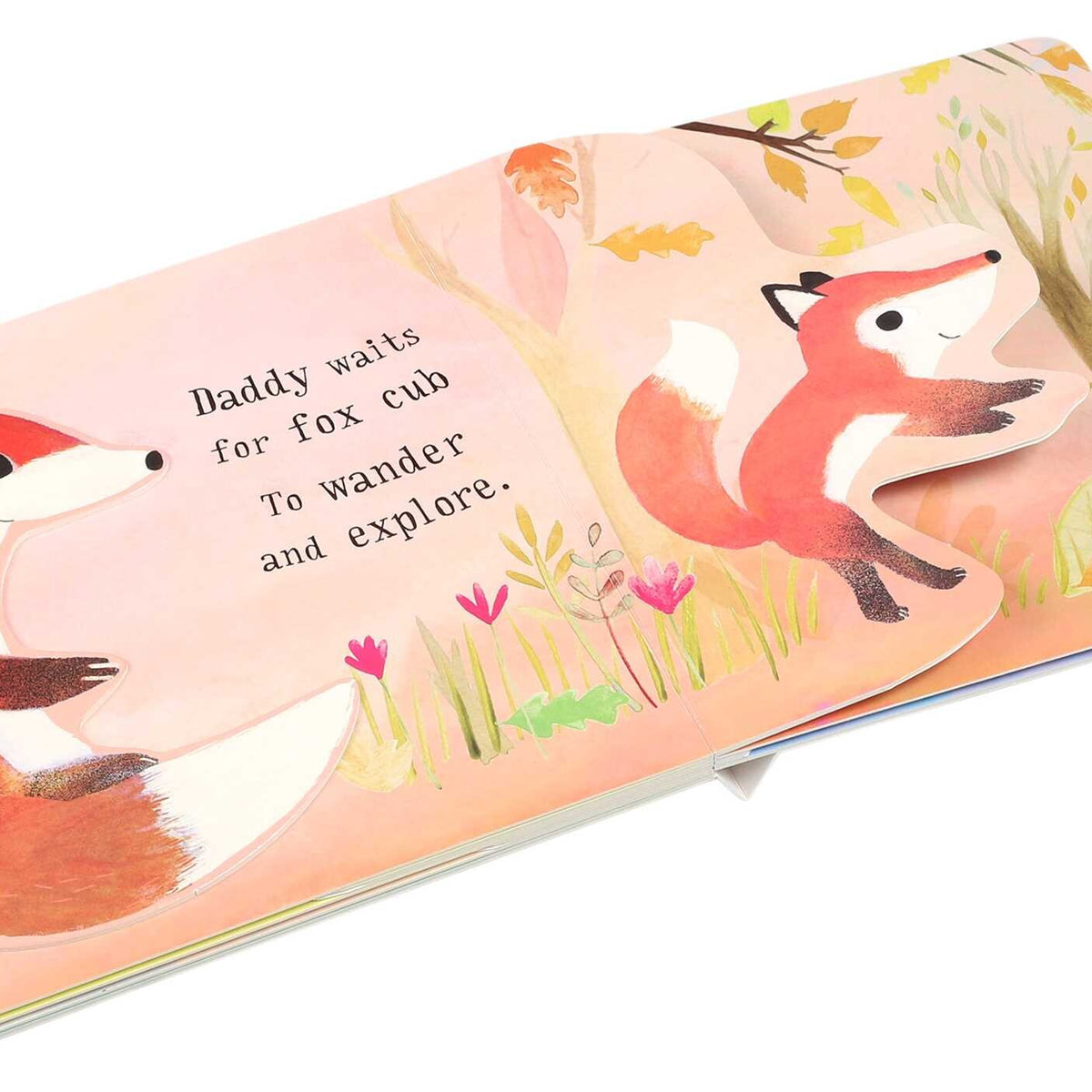 I Love You So - A Book of Hugs