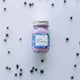 Wild Huckleberry Mini Mason Jar Soy Candle
