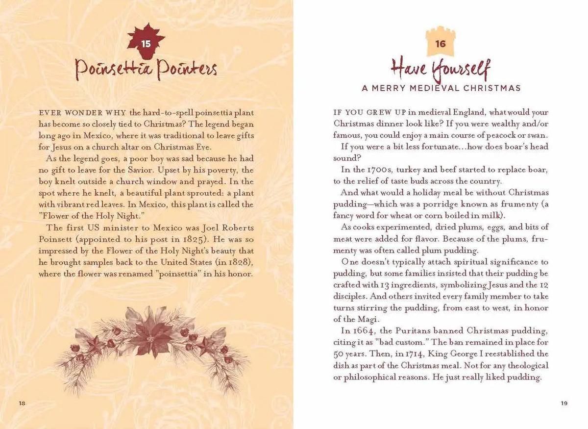 101 Amazing Things About Christmas Gift Book