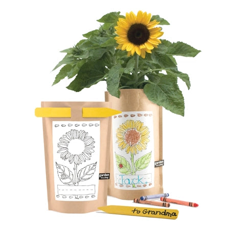 Kids Garden in a Bag - Mini Sunflower