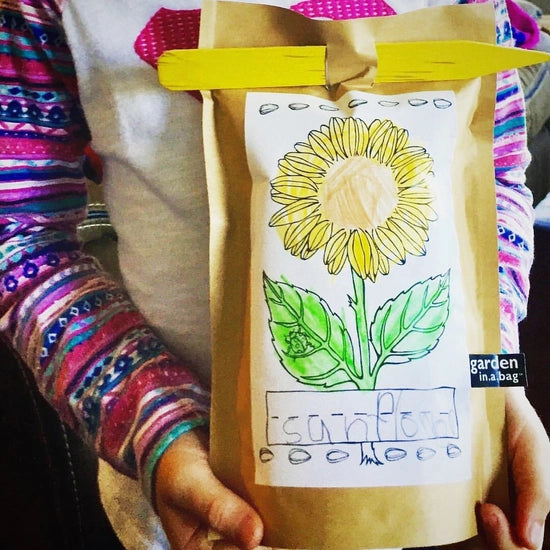 Kids Garden in a Bag - Mini Sunflower