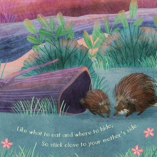 You are Mine, Porcupine