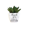 Thank You Succulent