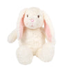 Bunny & Board Book Gift Set