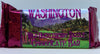 Washington Wild Huckleberry Razzle Chocolate Bar