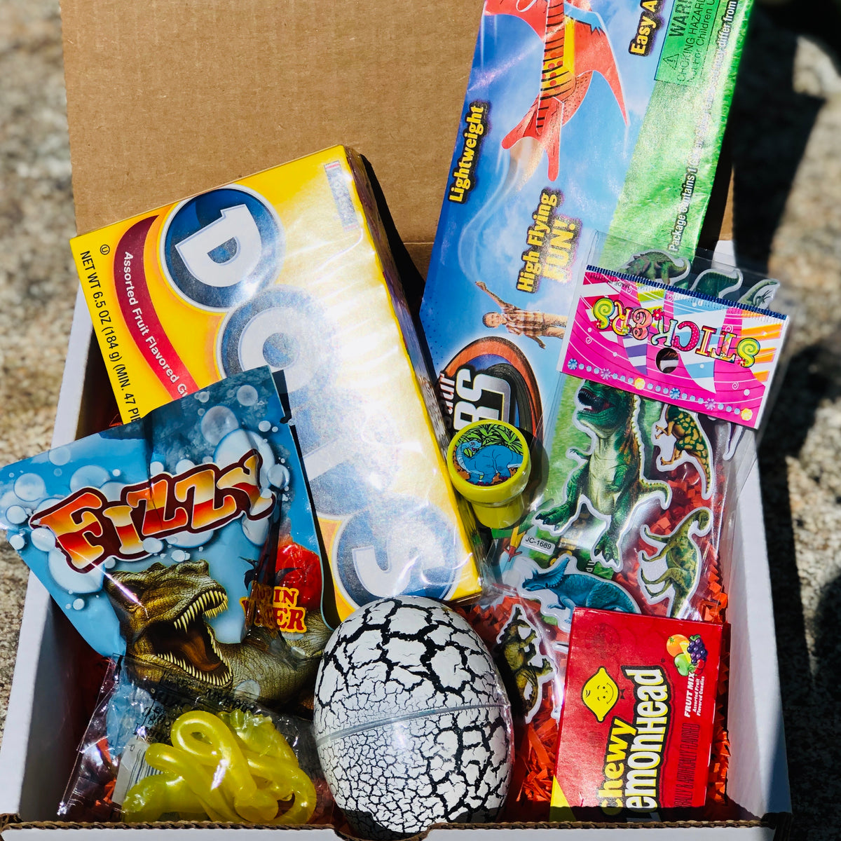 Dinosaur Activity Kit