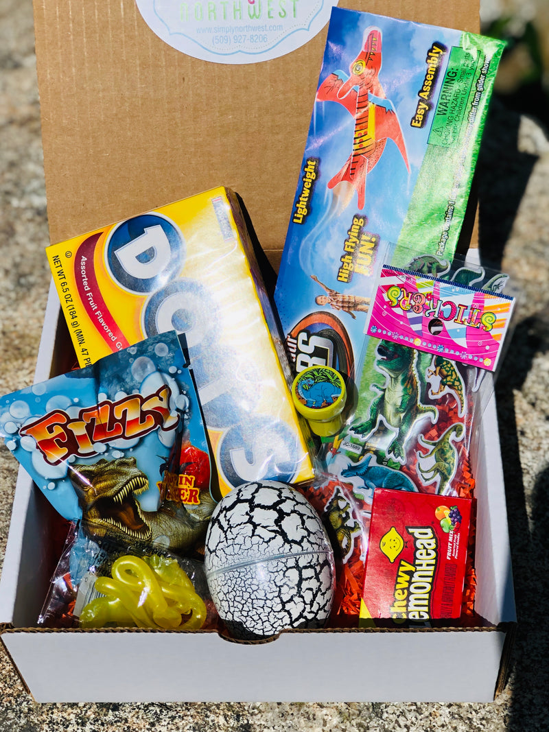 Dinosaur Activity Kit